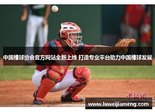 中国棒球协会官方网站全新上线 打造专业平台助力中国棒球发展