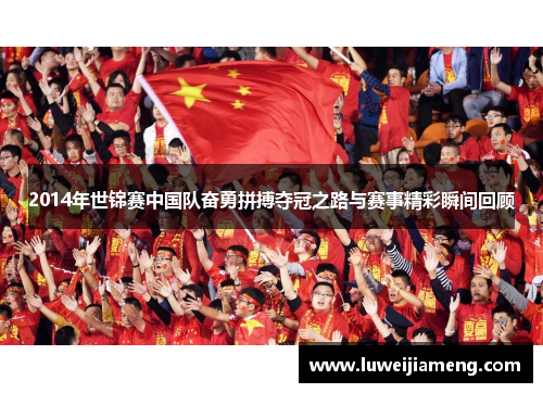 2014年世锦赛中国队奋勇拼搏夺冠之路与赛事精彩瞬间回顾